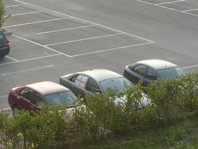 _P7020225.jpg