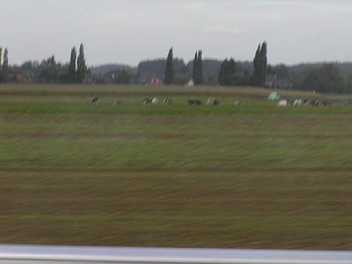9100067.jpg
