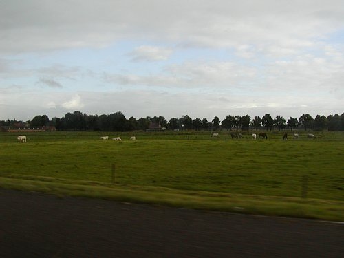 9100083.jpg