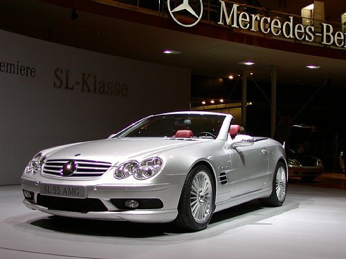 9120045.jpg