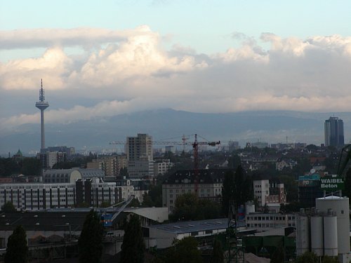 9140024.jpg