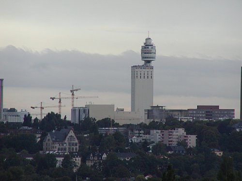 9140029.jpg