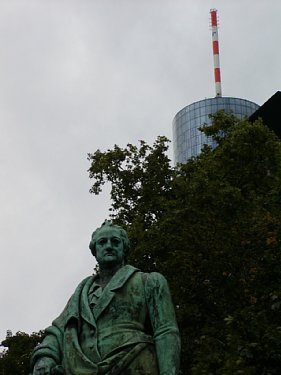 9151469.jpg