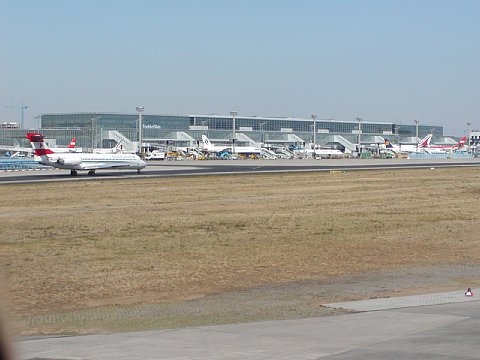 p9052047.jpg