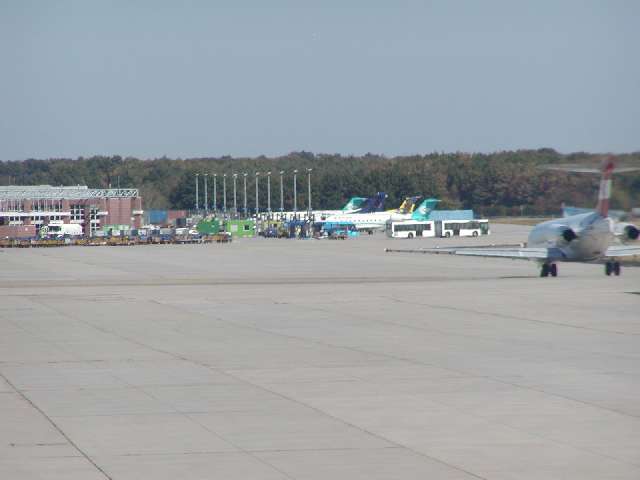 p9052048.jpg