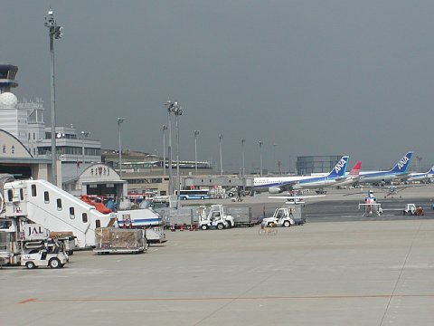 p9052003.jpg