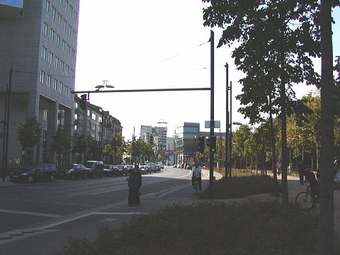 p9052052.jpg