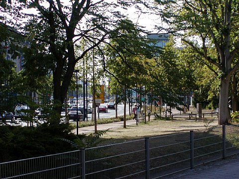 p9052055.jpg