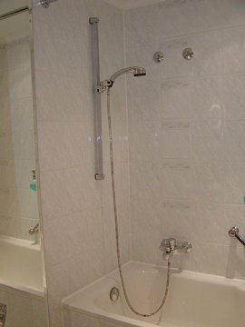 p9052057.jpg