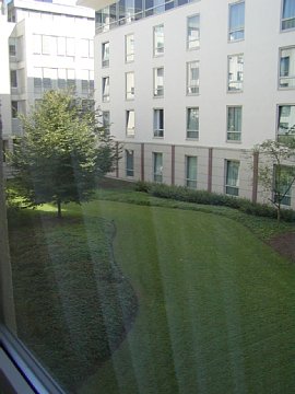 p9052061.jpg