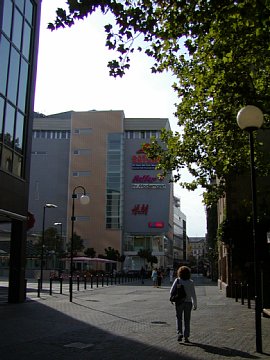 p9062062.jpg