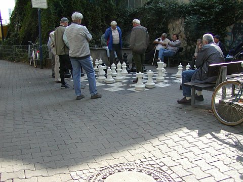 p9062066.jpg