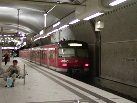 p9062068.jpg