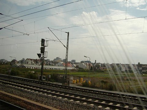 p9062069.jpg