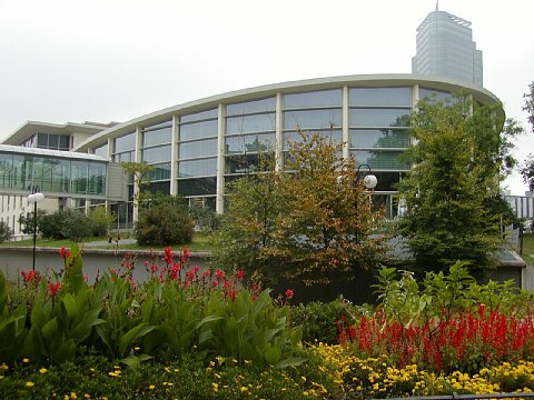 p9072081.jpg
