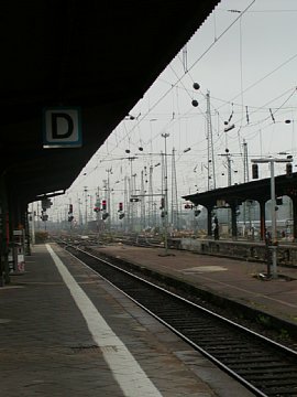 p9072085.jpg