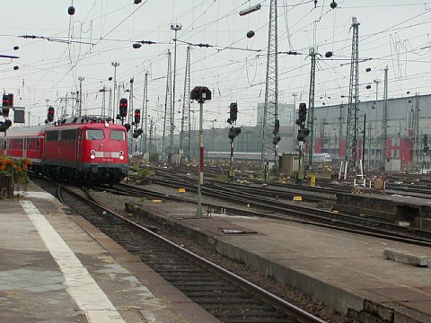 p9072086.jpg