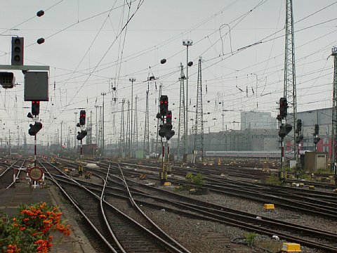 p9072085.jpg