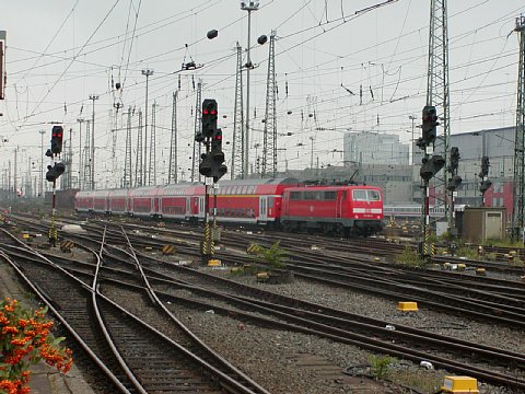 p9072088.jpg