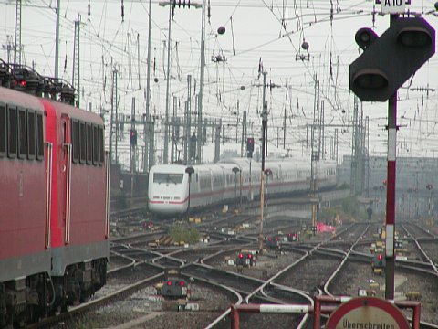 p9072089.jpg