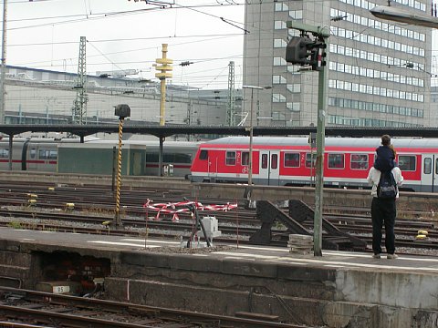 p9072094.jpg
