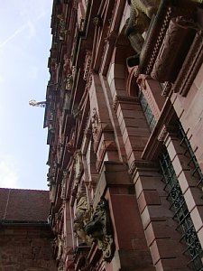 p9130141.jpg
