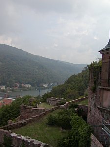 p9130149.jpg