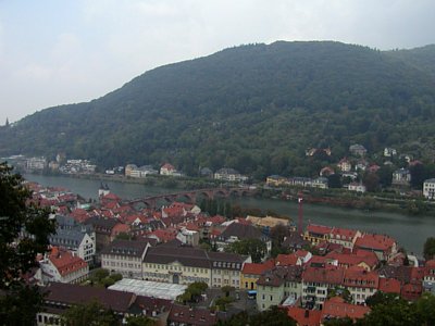 p9130151.jpg