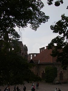 p9130168.jpg