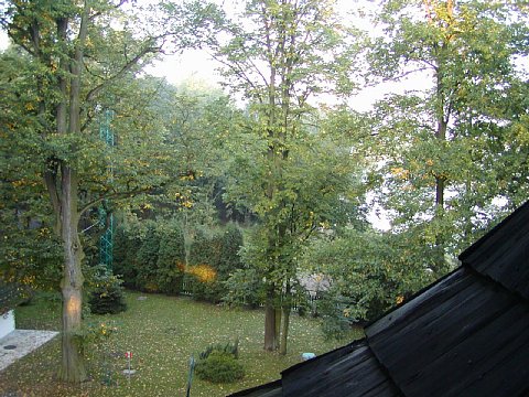 p9150230.jpg
