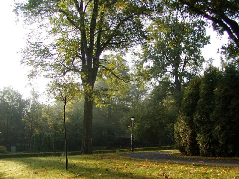 p9150252.jpg