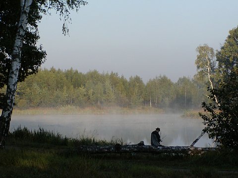 p9150255.jpg